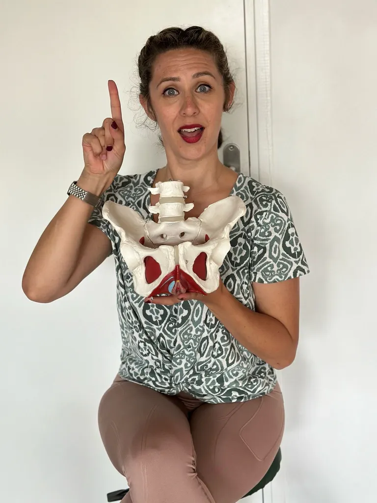 Aperçu des supports de cours